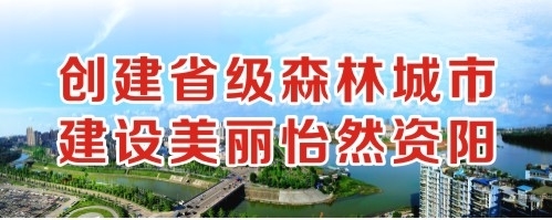 日逼www创建省级森林城市 建设美丽怡然资阳